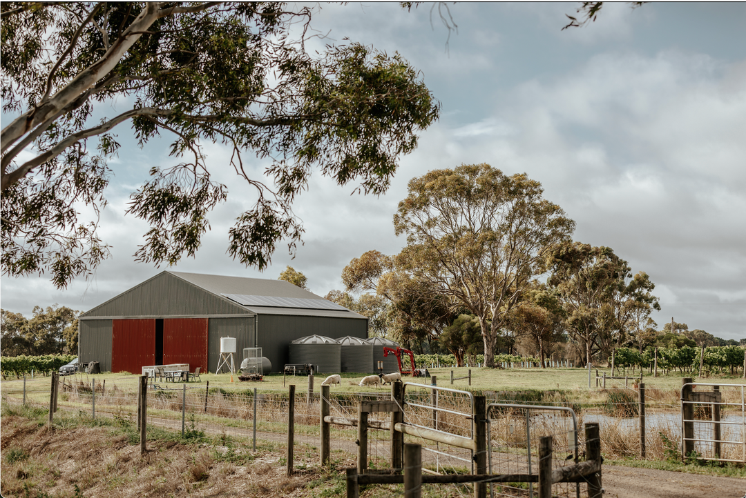 Circulus Wine Cellar Door Pop-Up – Melbourne Cup Long Weekend
