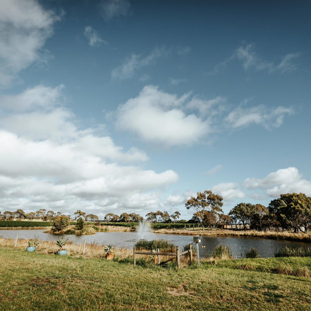 Farmland with a dam