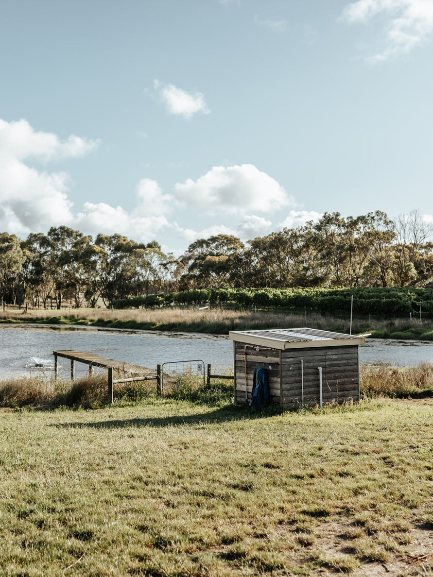 Jetty and lake on farm land