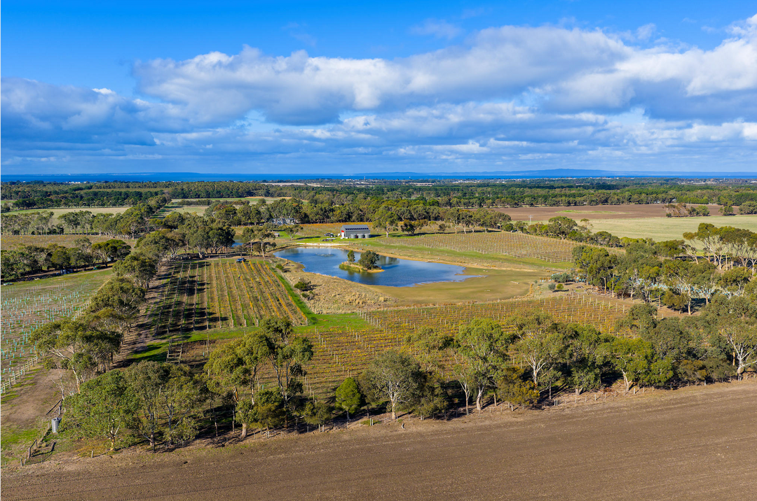 Spring Trade Tasting at Circulus Wine